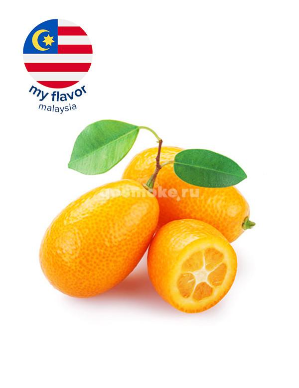 My Flavor Malaysia Kumquat