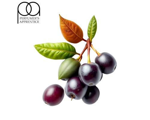 Acai (TPA)