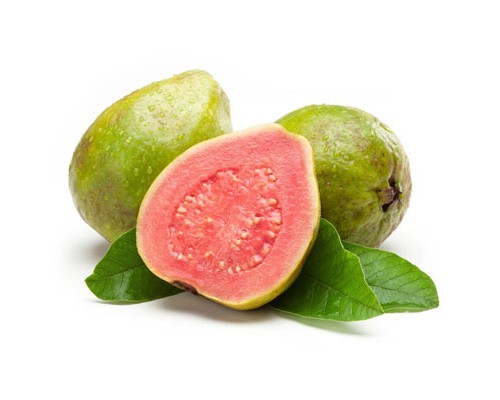 Sweet Guava v2 (Capella)