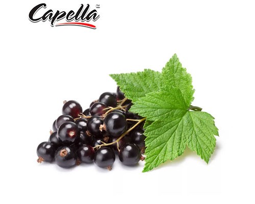 Sweet Currant (Capella)