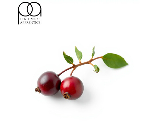 Cranberry (TPA)