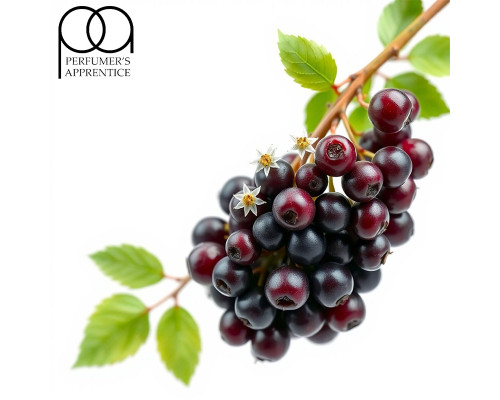 Elderberry (TPA)