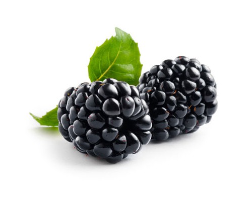 Blackberry (FNT)