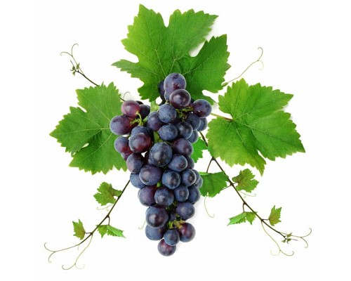 Grape DG (FNT)