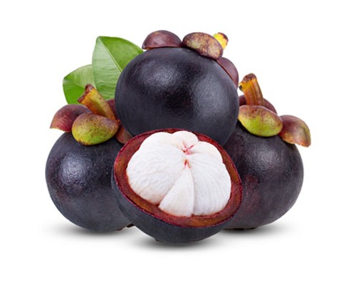 Mangosteen (FNT)