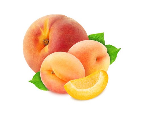 Peach Apricot (FNT)
