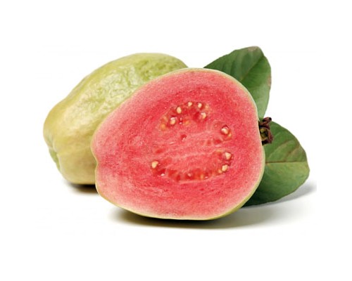 Pink Guava (FNT)