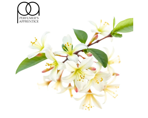Honeysuckle (PG) (TPA)