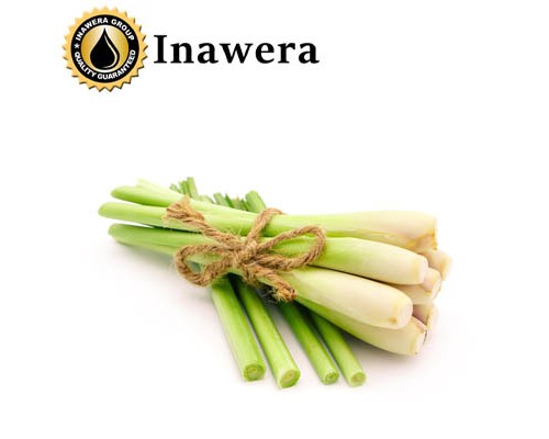 Lemon Grass (Inawera)