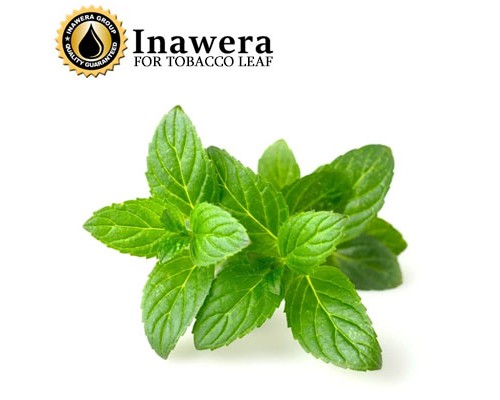 Mint (Inawera)