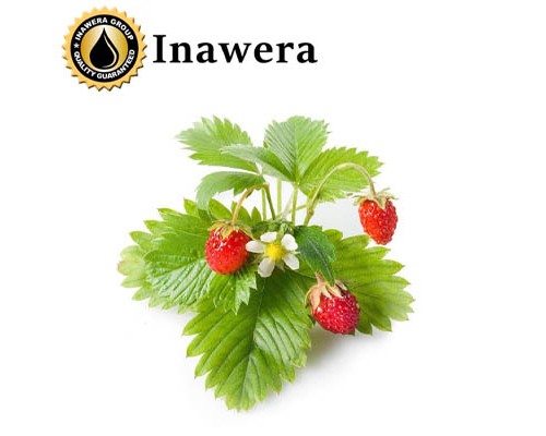 Poziomka (Inawera)