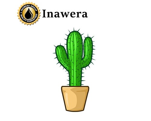 Cactus Verde (Inawera)