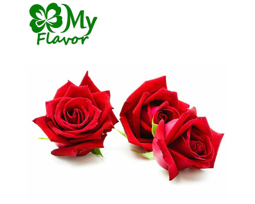 Rose (My Flavor)