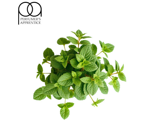 Peppermint (TPA)