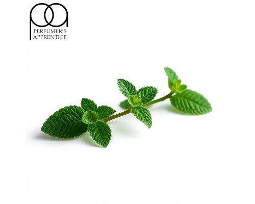 Spearmint (TPA)
