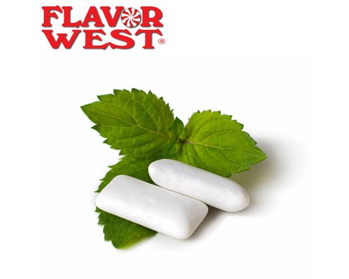 Stick Gum 2x Mint (Flavor West)