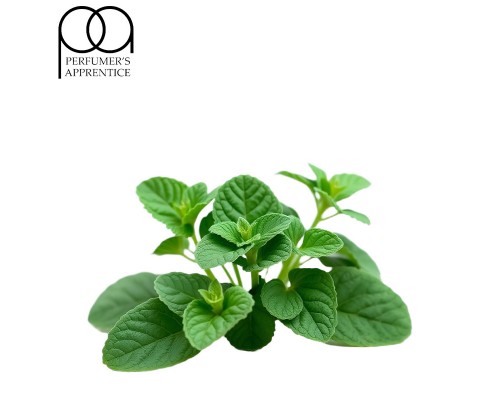 Spearmint Deluxe CC (TPA)