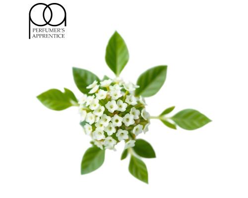 Sweet Woodruff (TPA)