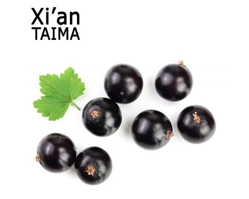 Black Currant (Xi'an Taima)