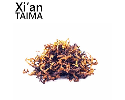 Caster (Xi'an Taima)