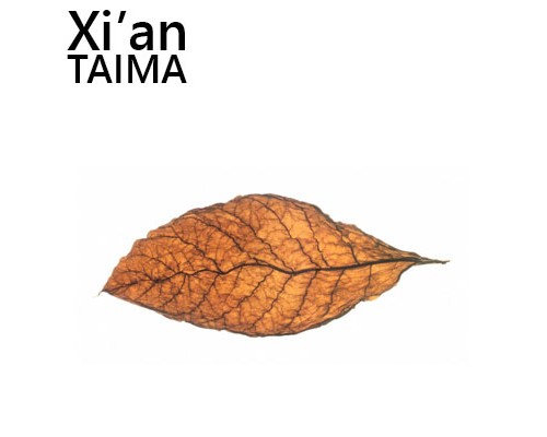 DK Tab (Xi'an Taima)