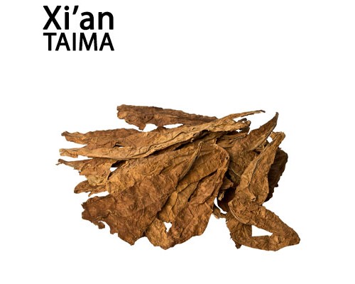 Havana DRY (Xi'an Taima)