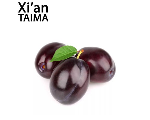 Plum (Xi'an Taima)