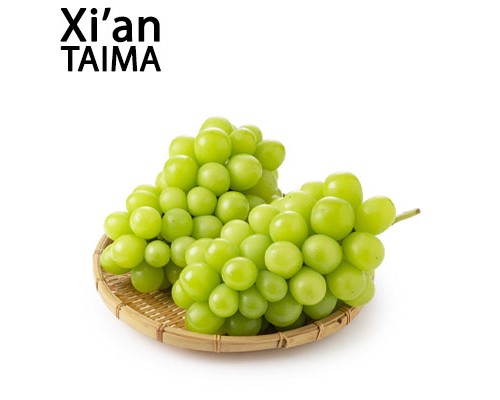 Shine Muscat (Xi'an Taima)