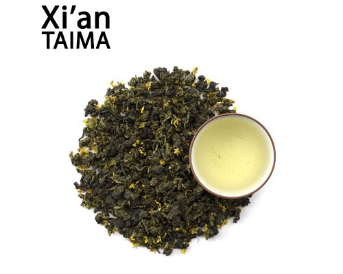 Tie Guanyi (Xi'an Taima)